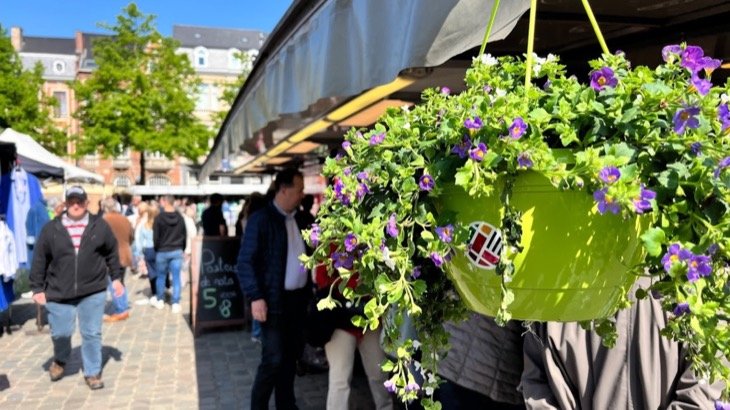 Vrijdagmarkt