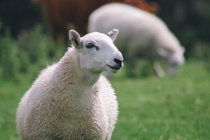 best places to see in wales