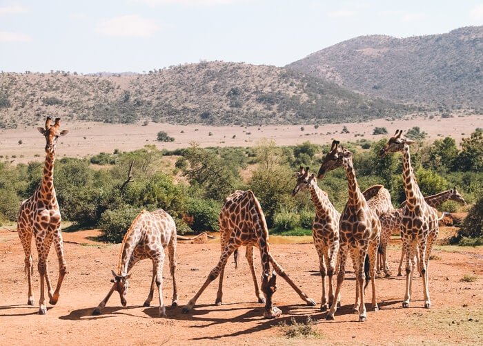 solo travel south africa
