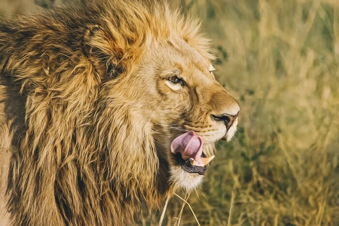 south africa travel blogs stories