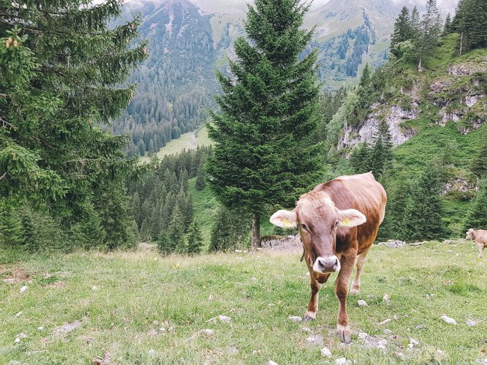 weird facts austria