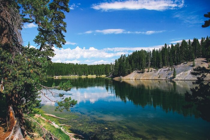 Where to Stay When Visiting Yellowstone National Park 73