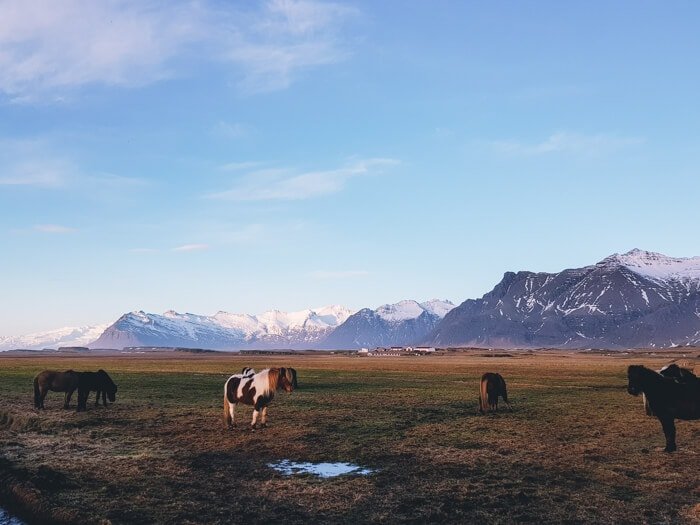 vakantie ijsland februari