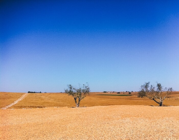 portugal must see