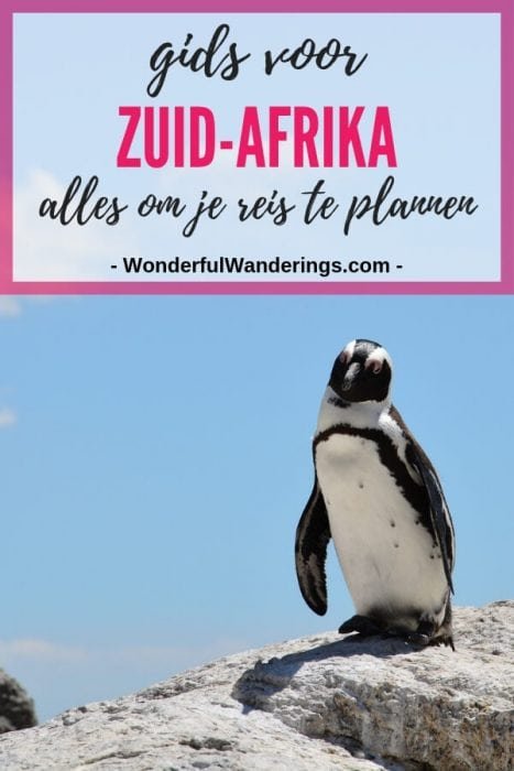 reis zuid afrika