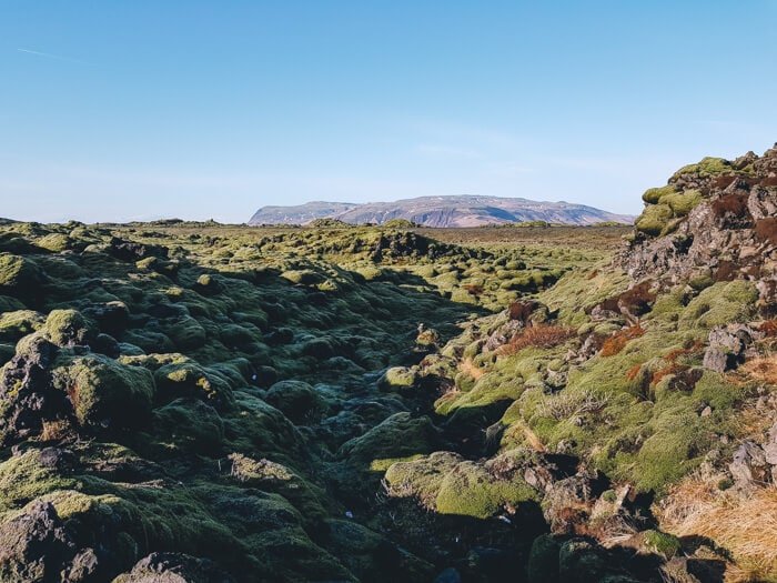 ijsland ervaringen