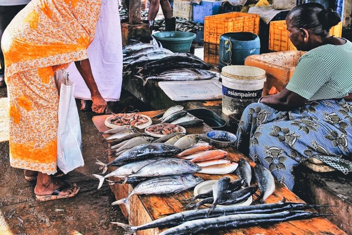 sri lanka tour