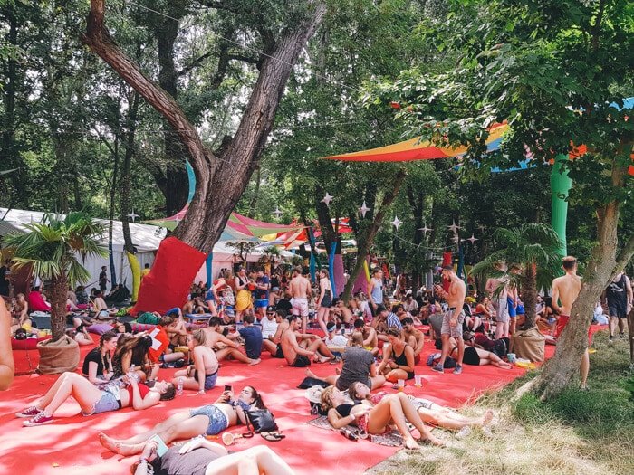 sziget check in