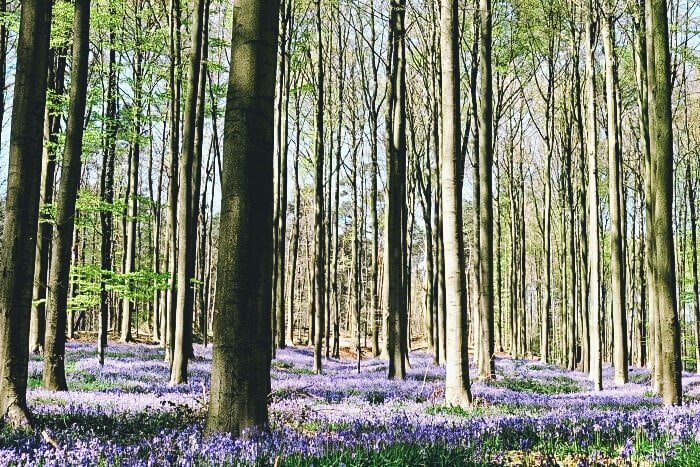 best places to go in belgium