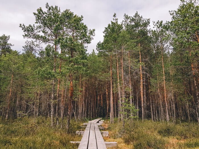 jurmala things to do