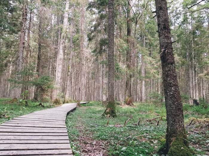 must see latvia