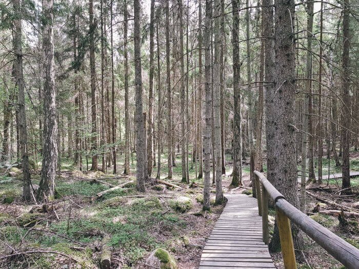 what to visit in latvia