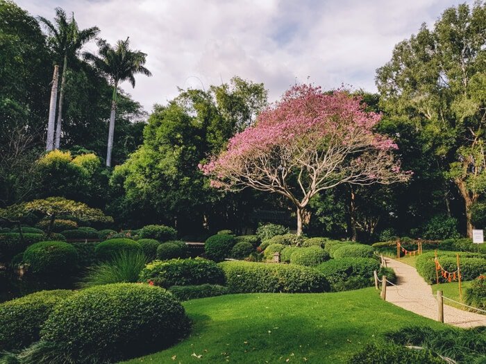 brisbane voor volwassenen