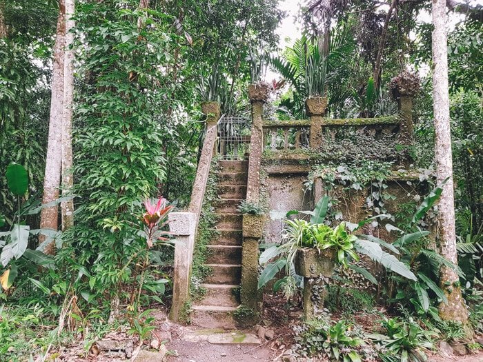 paronella park price