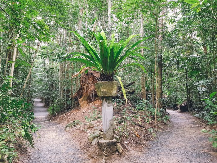 paronella park north queensland