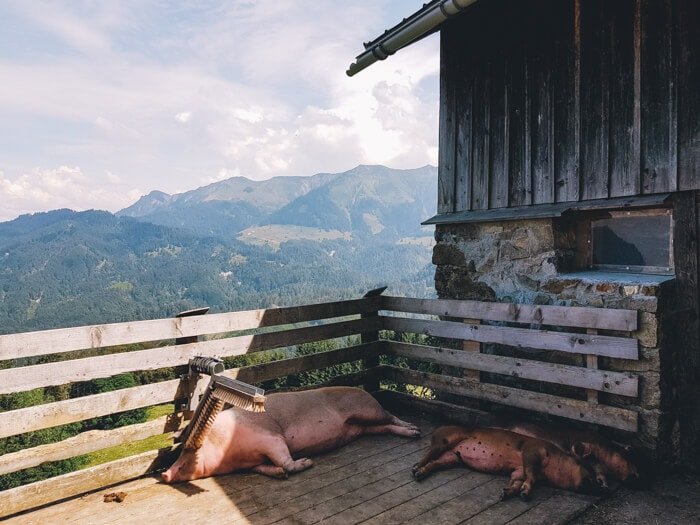 vorarlberg dornbirn