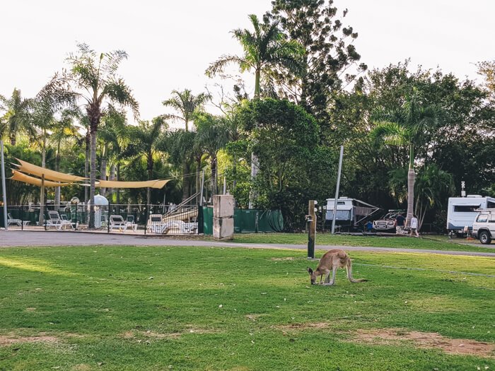 accommodation cape hillsborough queensland