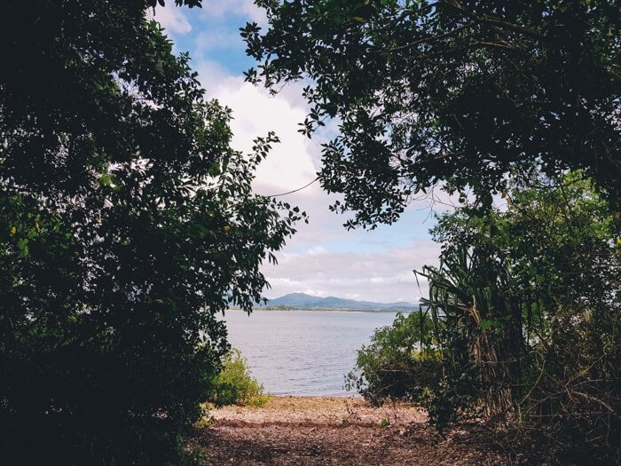 cape hillsborough australia
