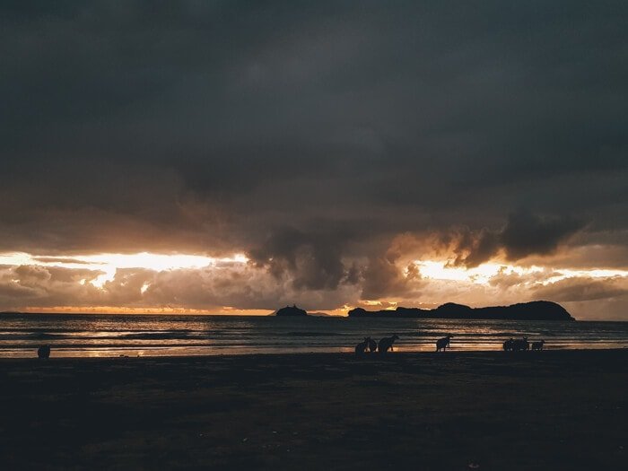 cape hillsborough camping accommodation