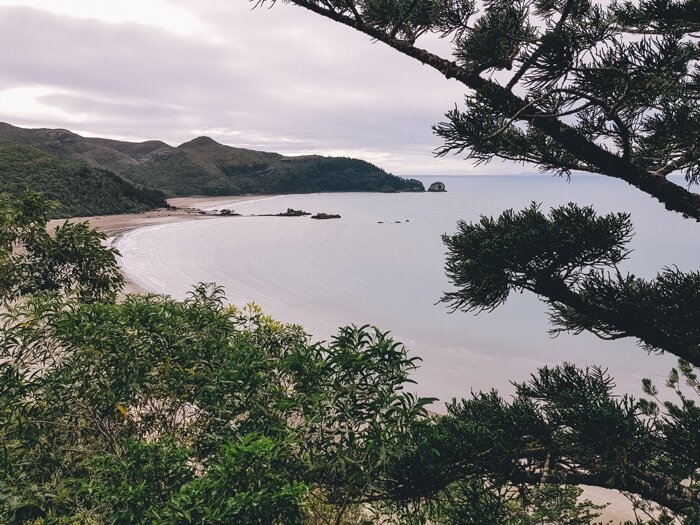 cape hillsborough national park walking tracks
