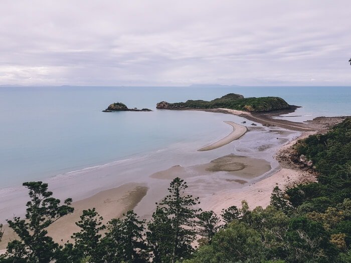 Cape Hillsborough National Park: 6 fun things to do 4