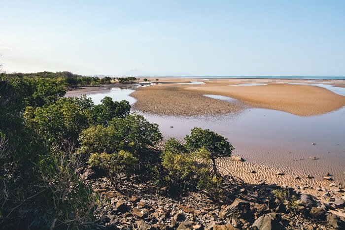 daintree cape tribulation tour
