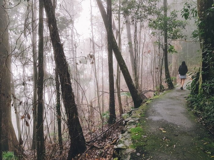 eungella australia