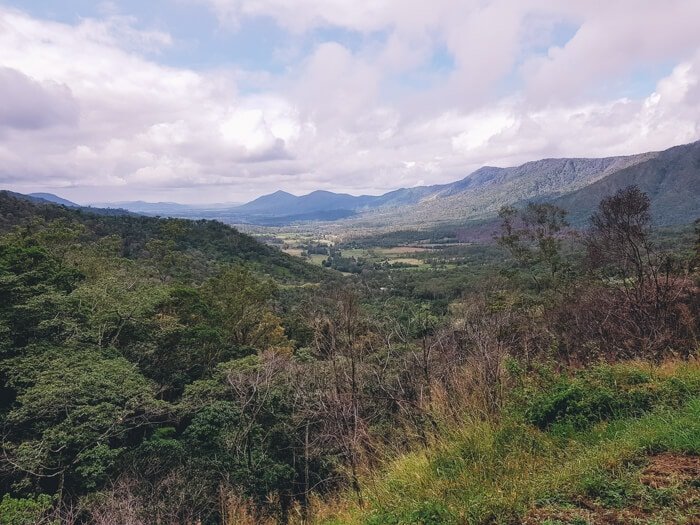 Eungella National Park walks and platypus viewing in AUS 6