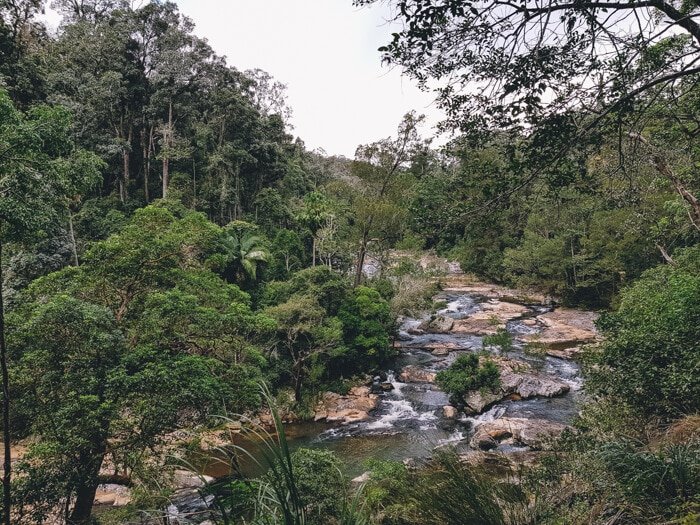 eungella np