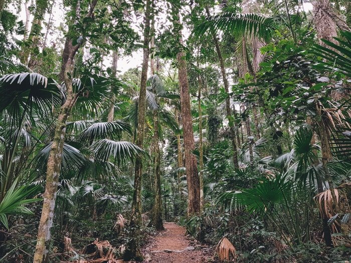eungella qld accommodation