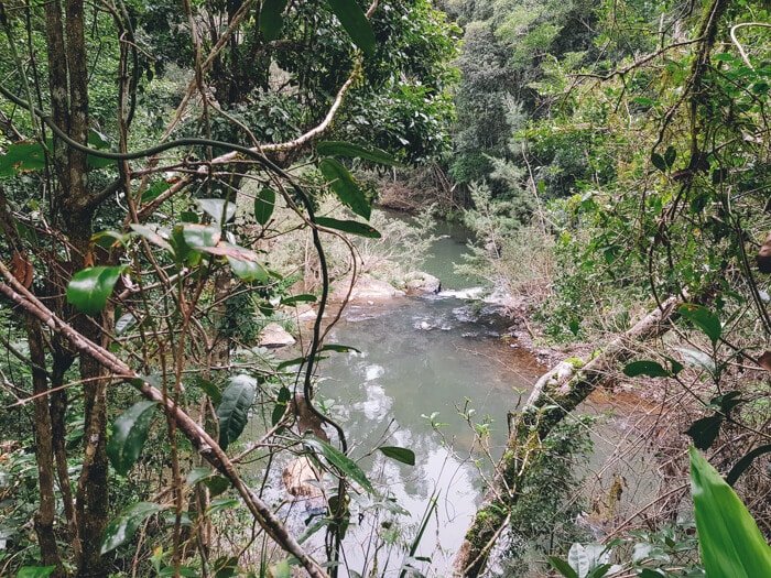 eungella qld