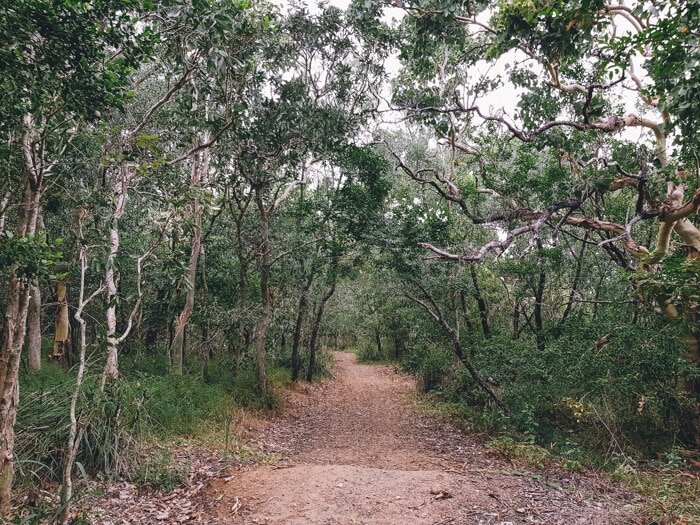 hillsborough national park qld
