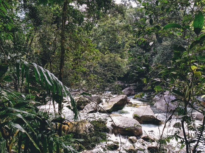 mossman gorge australia