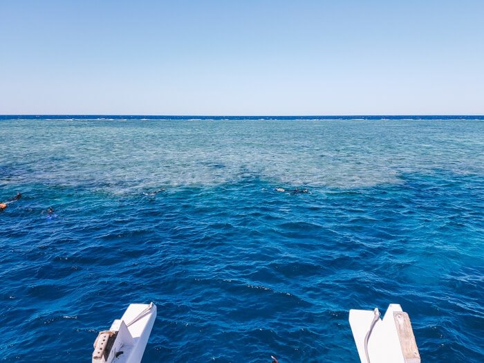 best snorkeling great barrier reef
