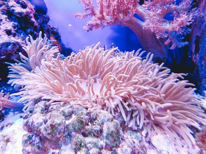 best tour great barrier reef