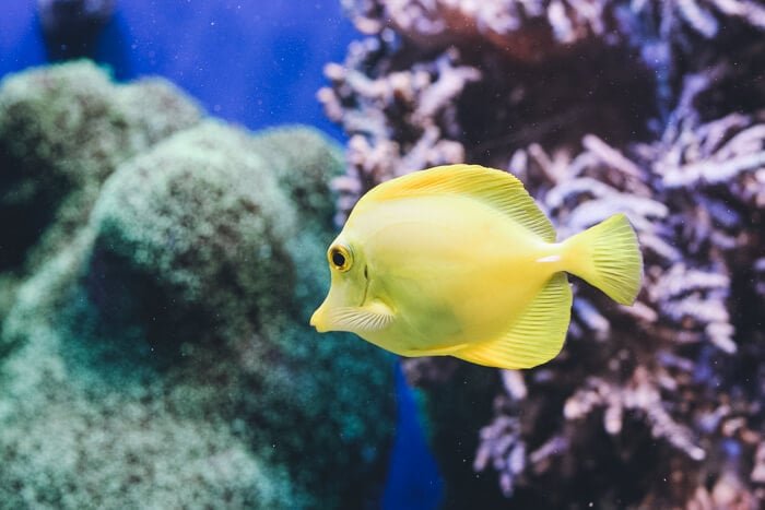 Great Barrier Reef tours: all you need to know + a personal review 3