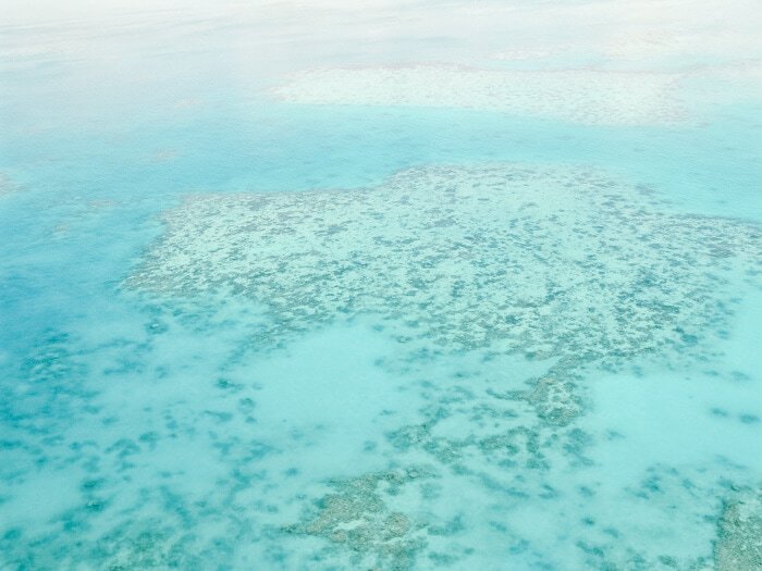 great barrier reef tours cairns