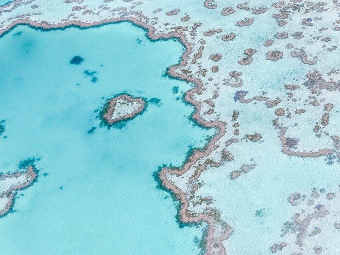 best tours great barrier reef