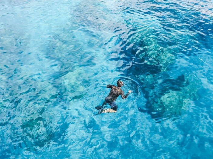 best reef tours from cairns