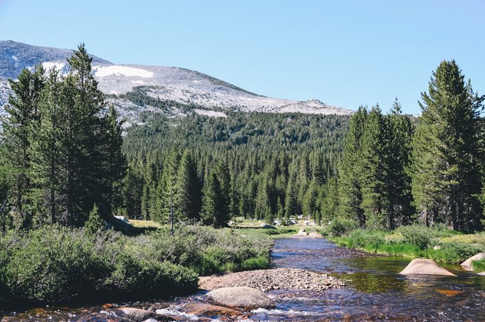 best hikes in Yosemite National Park