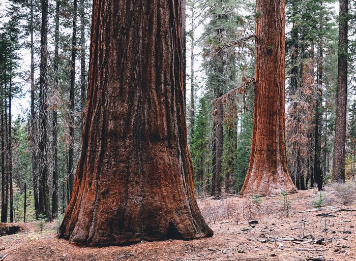 best yosemite hikes