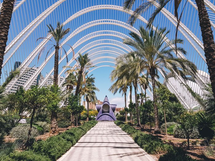valencia activities