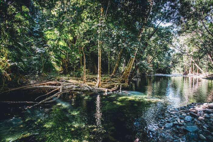 things to do in port douglas at night