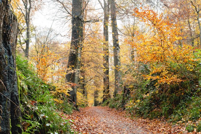 hiking brussels