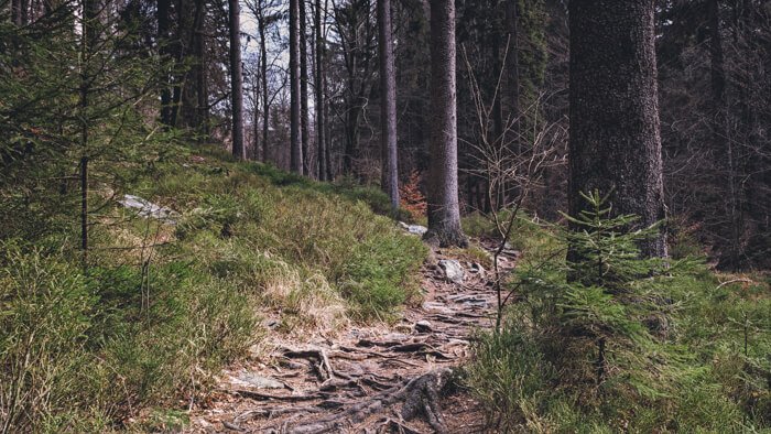 natuursightseeing