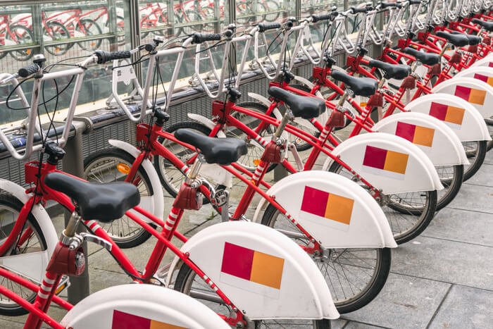 things to do in antwerp