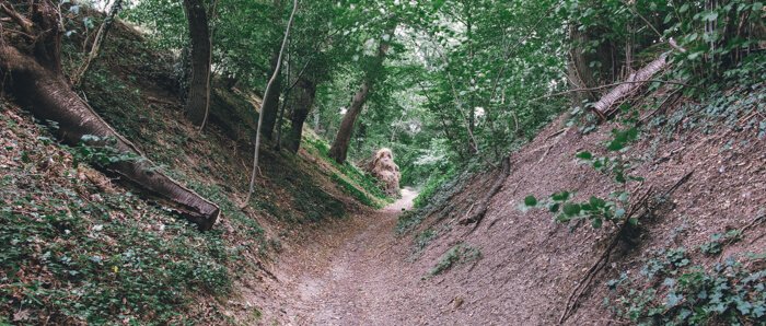 what to do in belgium june