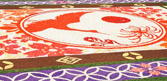 flower carpet brussels