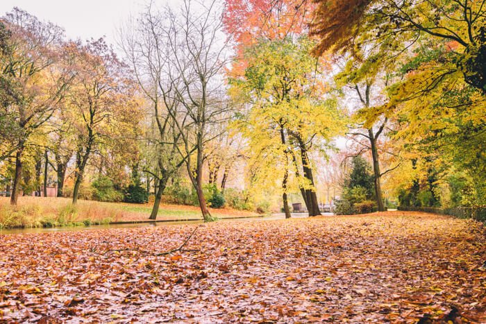 Visiting Belgium in October - Top tips to plan your trip 61