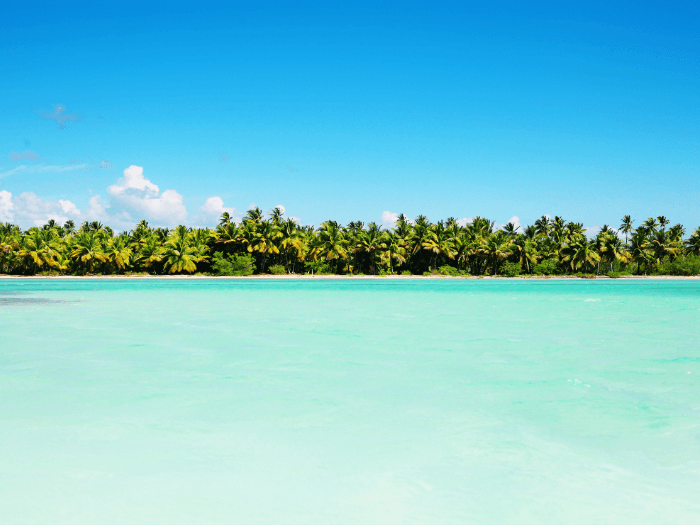 caribbean yacht charters